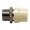 Apollo 3/4 in. x 3/4 in. CPVC CTS Slip Stainless Steel MPT Adapter CPVCMA34 - alternate 7